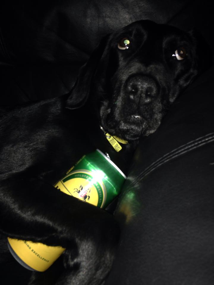 drunk snoop.jpg