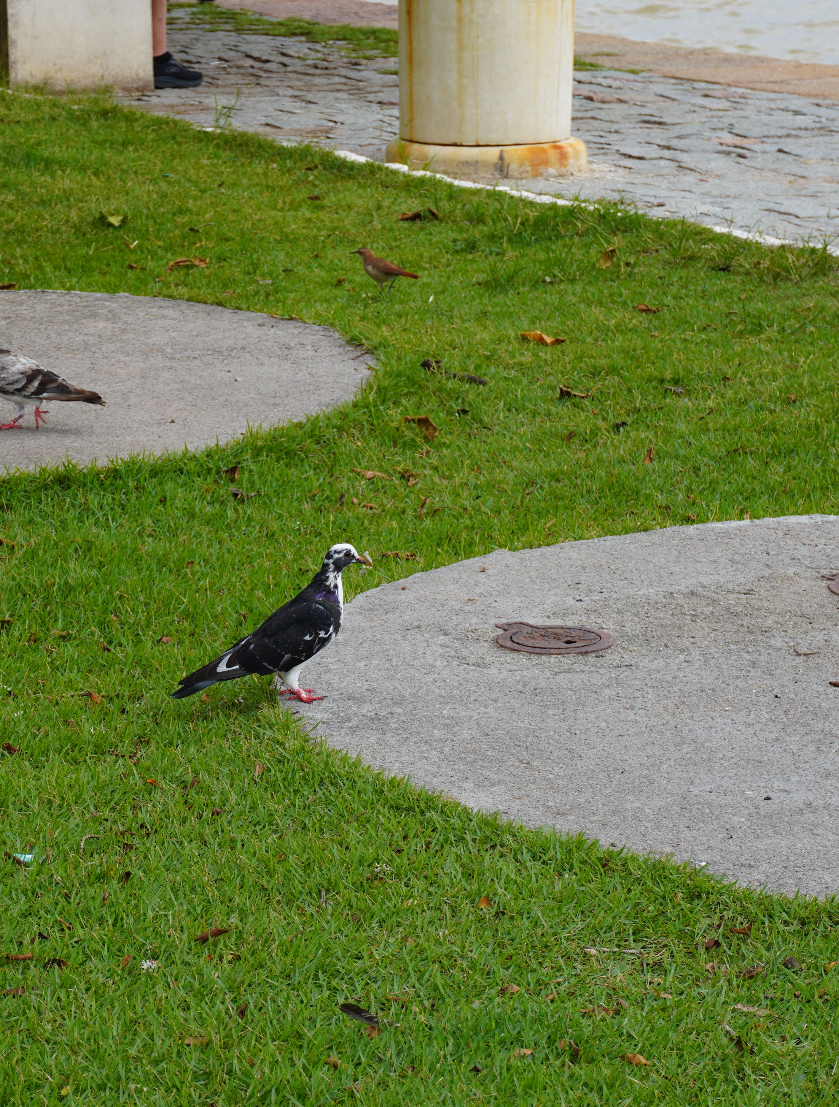 DSC02393~2.jpg