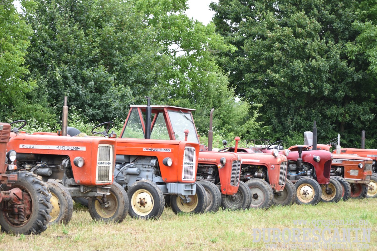 DSC_0037.jpg