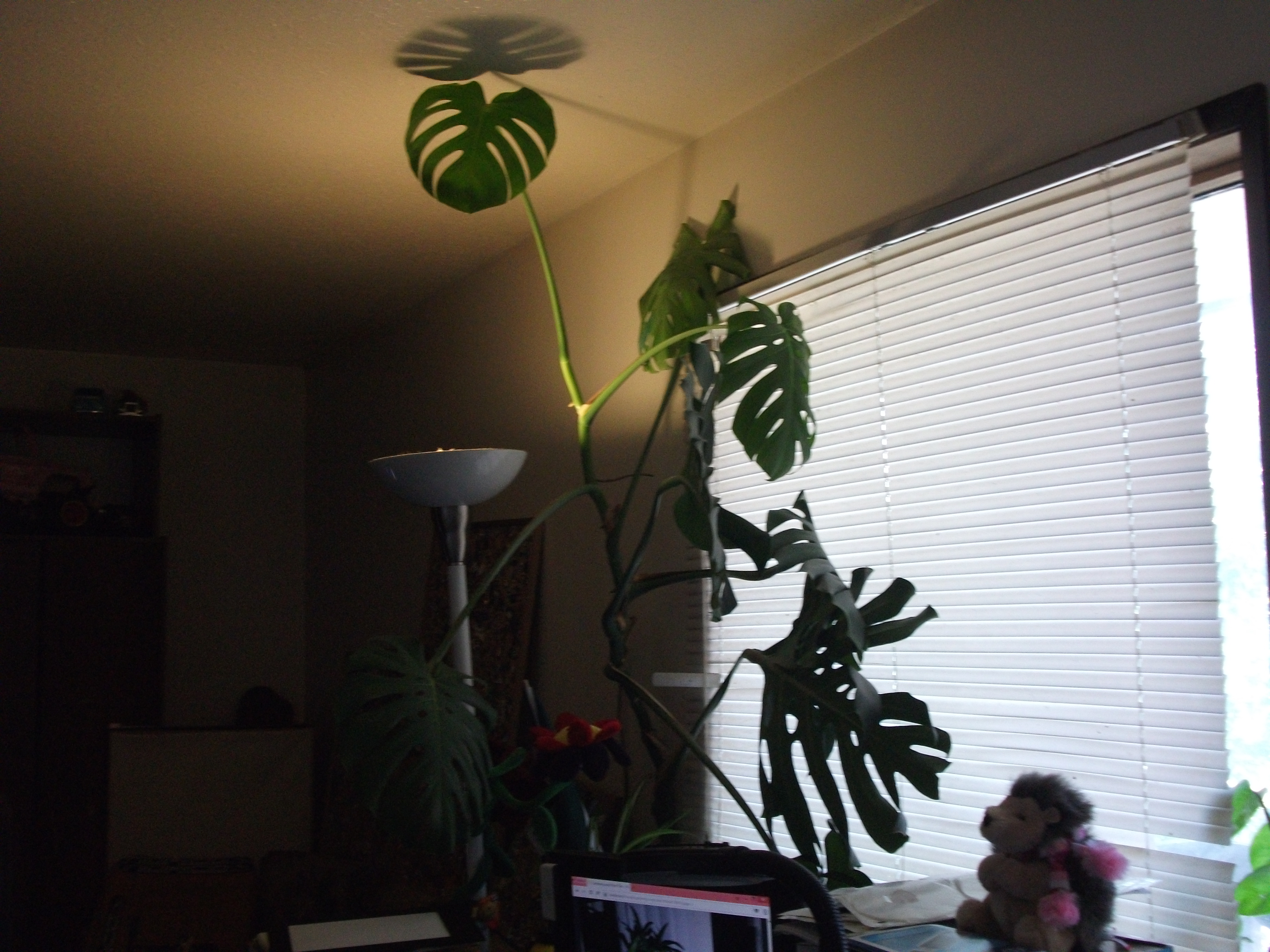 DSCF1004.JPG