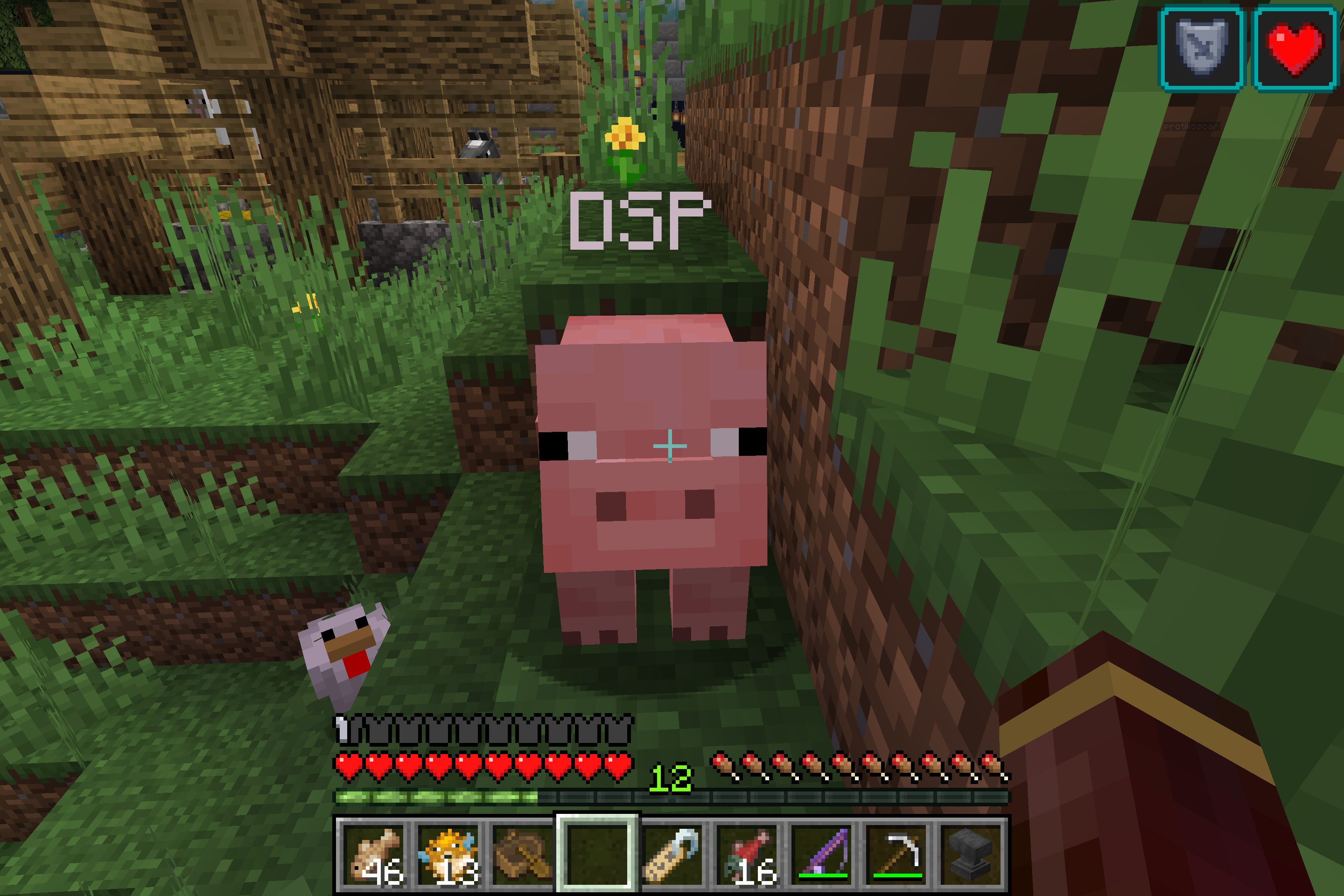 dsp pig.png