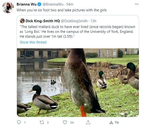 duck.png