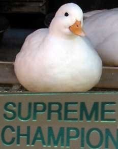 717818