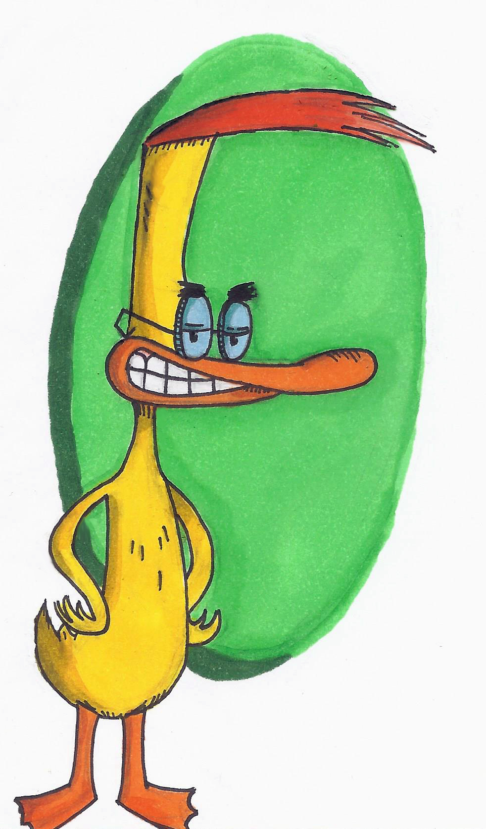 duckm.jpg