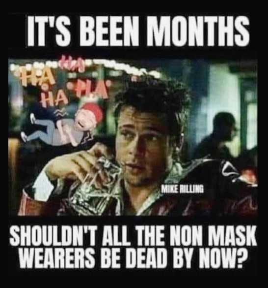 duh.jpeg