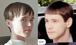 dumb and dumber.jpg