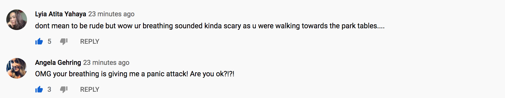 dumbitchshit.png