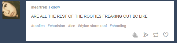 dylan roof1.png