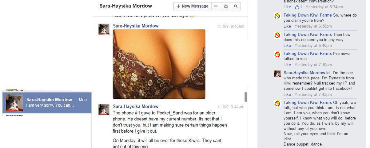dynastia.png