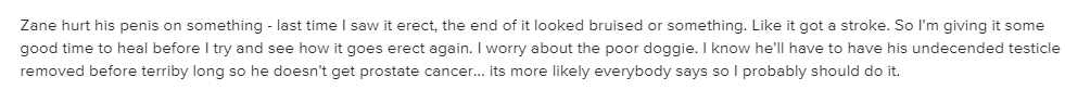 dz.png
