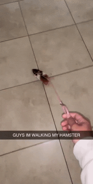 e3a.gif