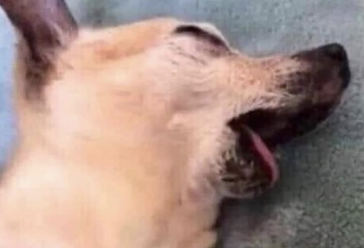 E4NWJyuXMAcxZAO (1).jpeg
