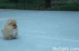 e52335626a81bee20fa269bc9bc4e384.gif