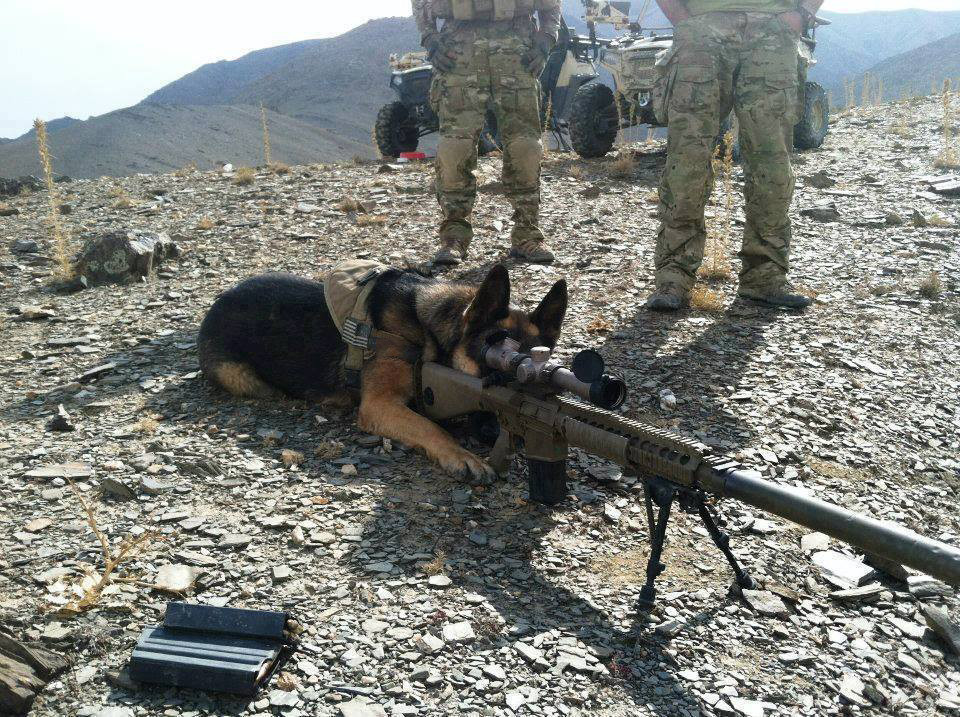 e60.jpg