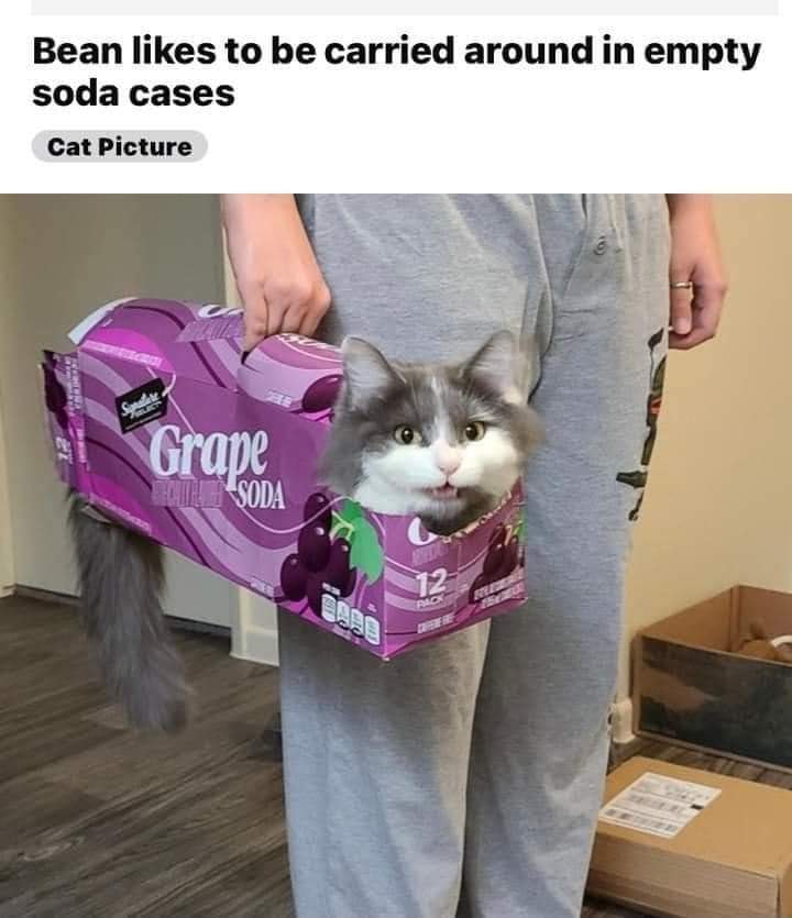 E6GOOVOXsAM7fdW.jpeg