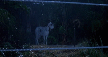 E9JE.gif