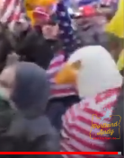 eagle.png