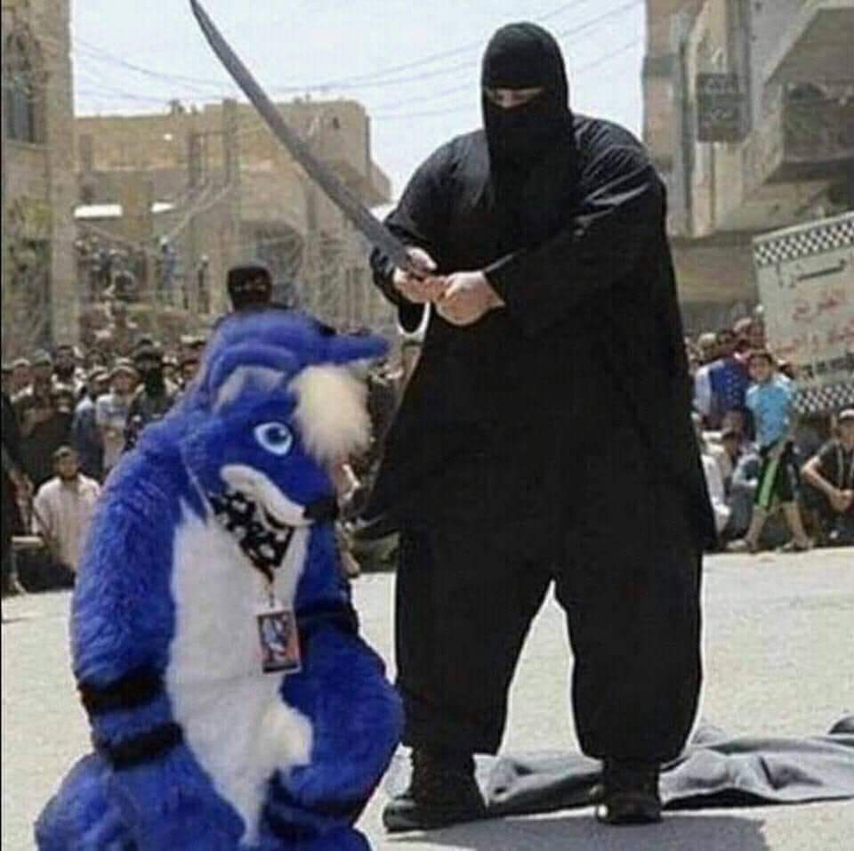 Ebhtei5WkAAcMFC.jpeg