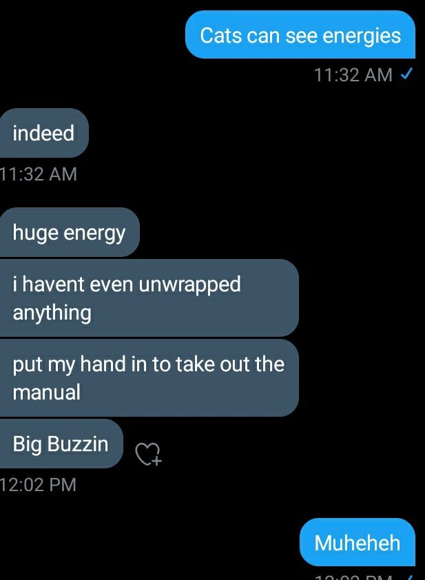 edj.jpg