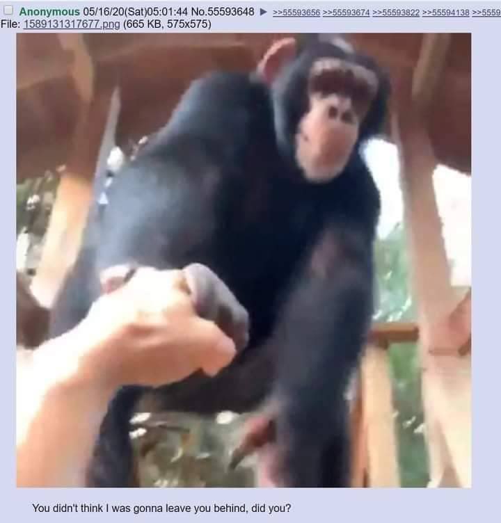 Efcko63VAAICSEF.jpg