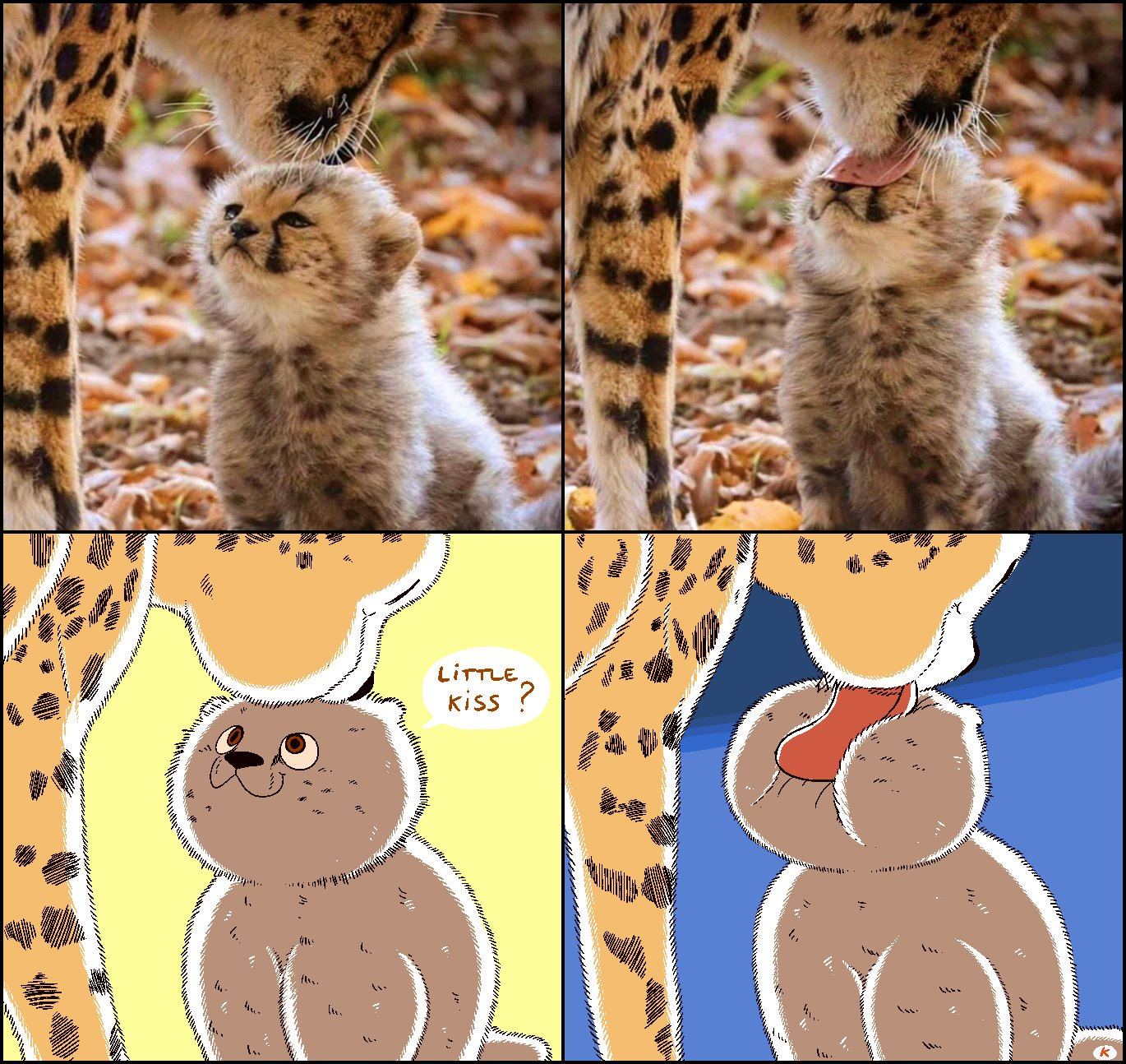 EJCWc5qXYAASsbo.png