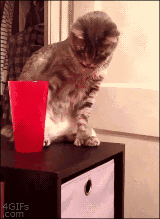 eJX7eni.gif