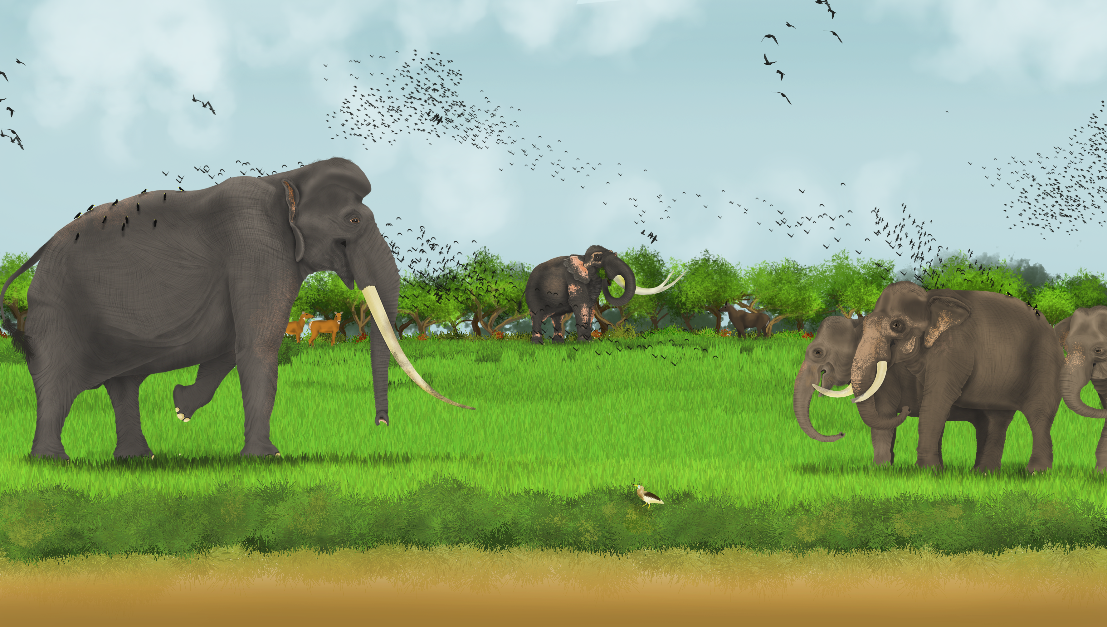 elephants.png