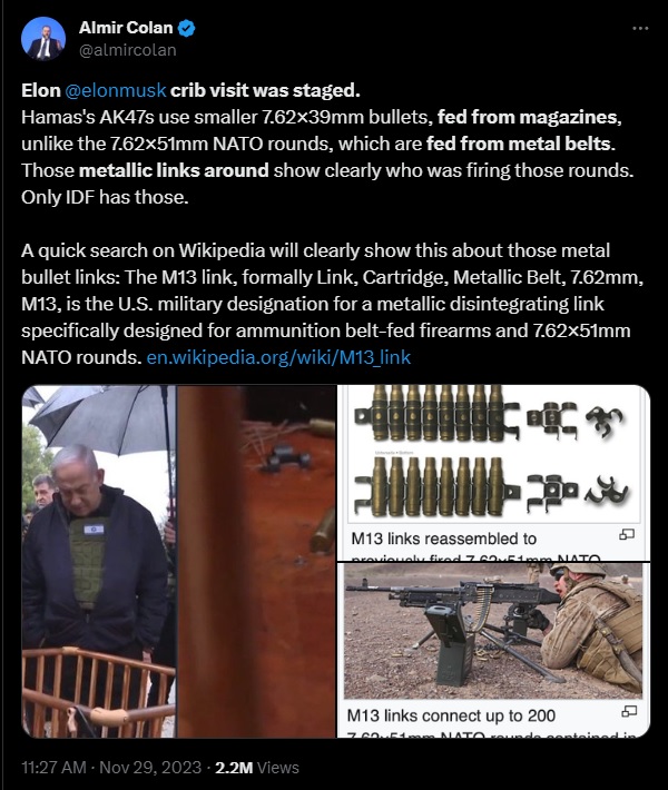 elm.jpg
