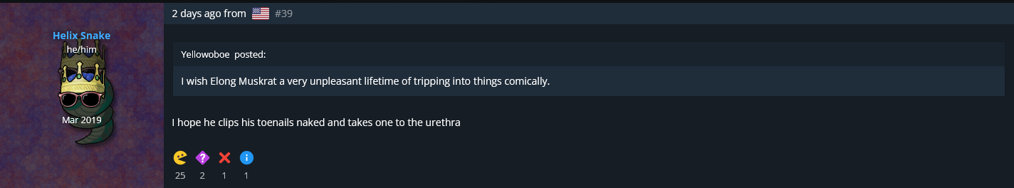 elon_03.png