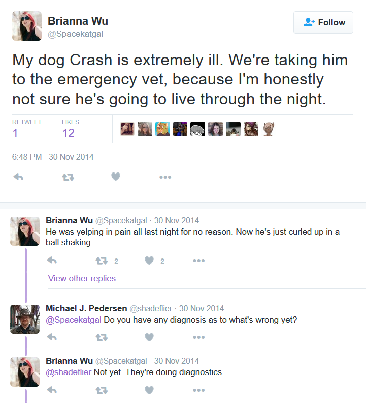 Emergency vet.png