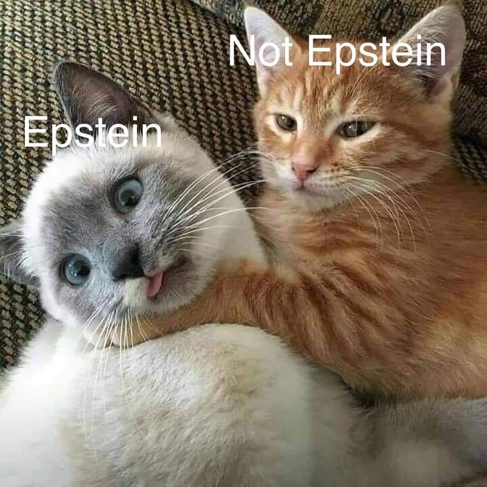 ENDbKT2.jpg