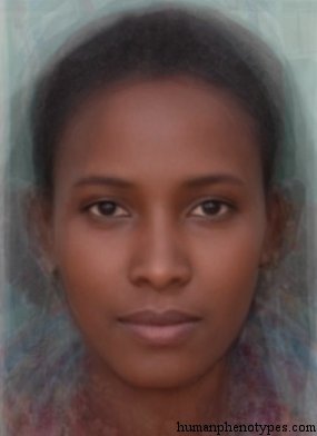 ethiopidf.jpg