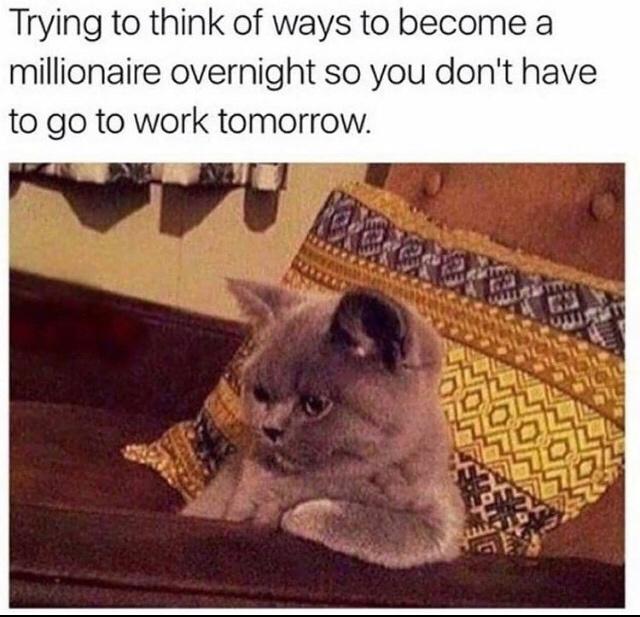 eTmjq6r.jpeg