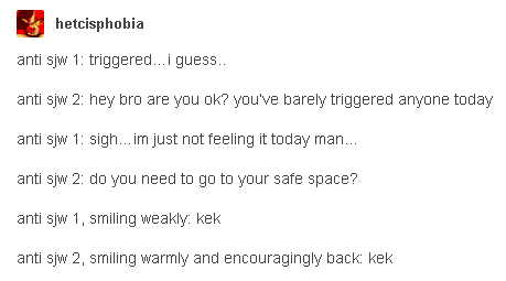 every sjw.PNG