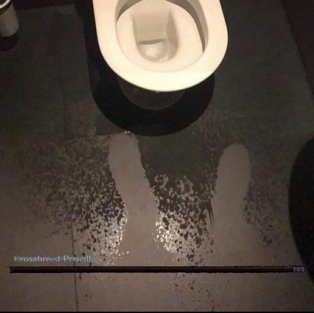 EvXmsSDXAAMA1Ui.jpeg