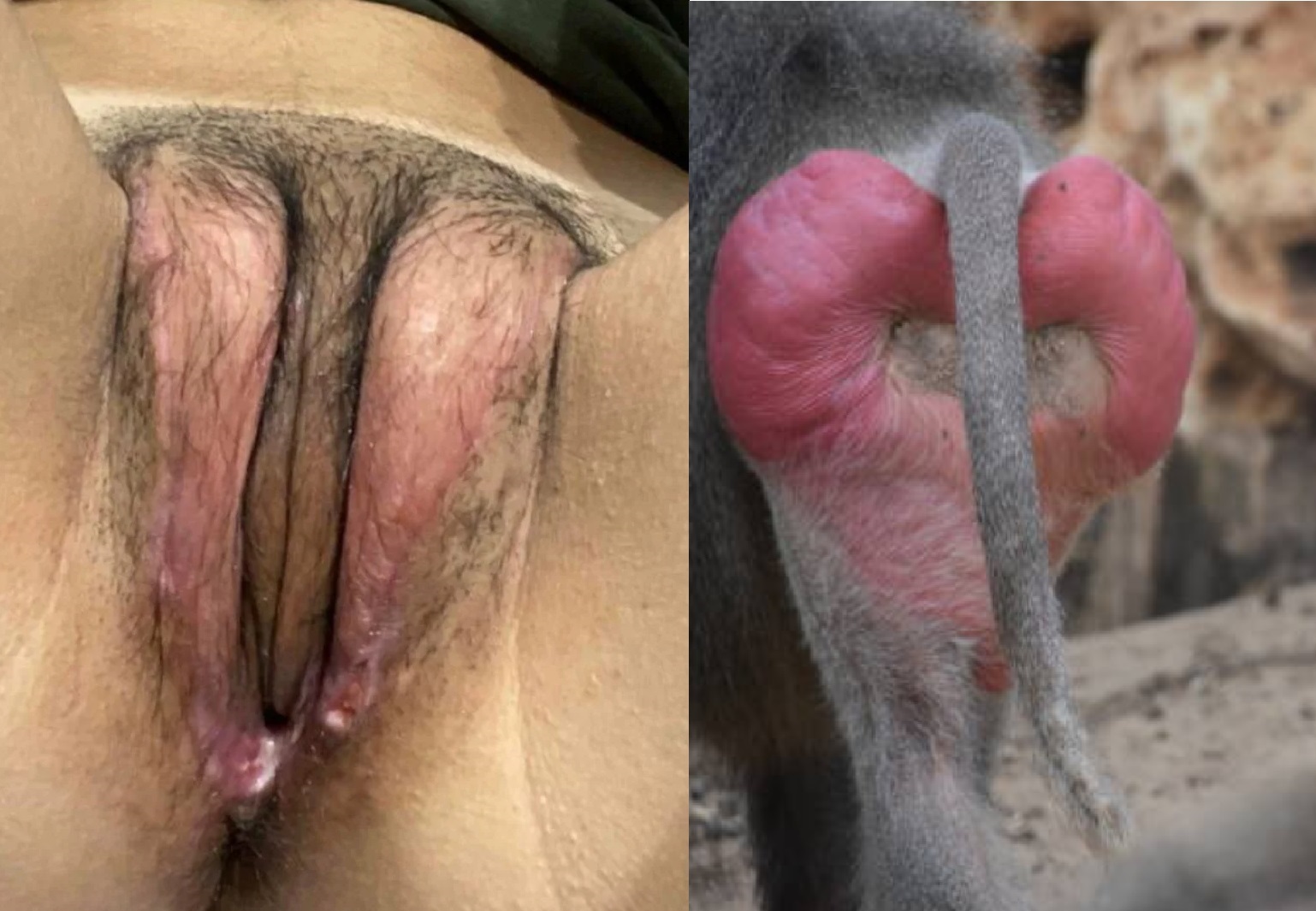 eww.jpg