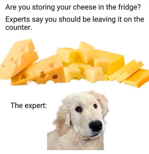 expert.jpg