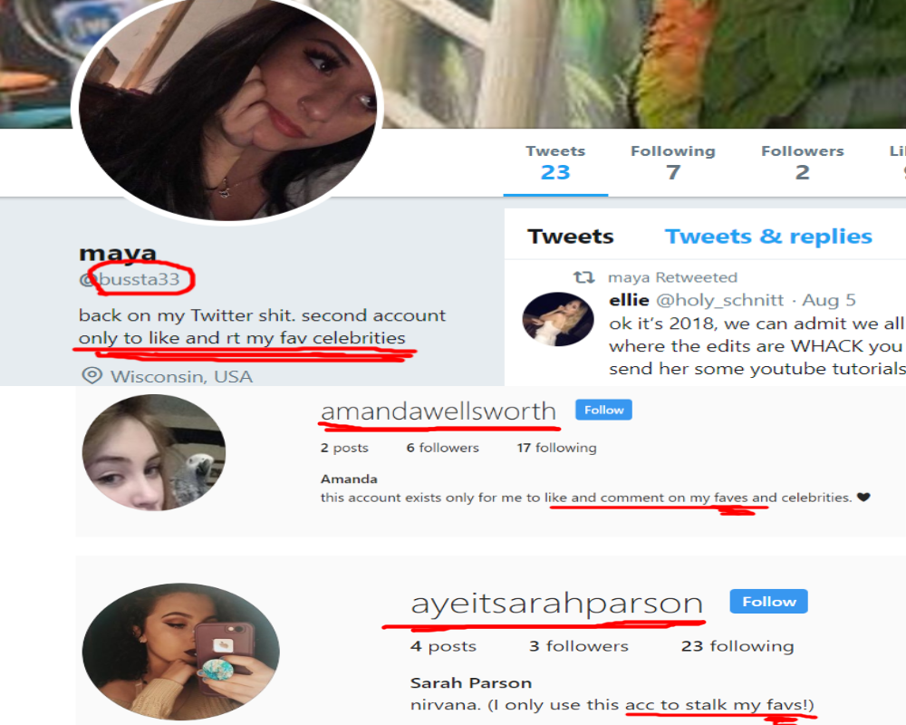 expose 3.png