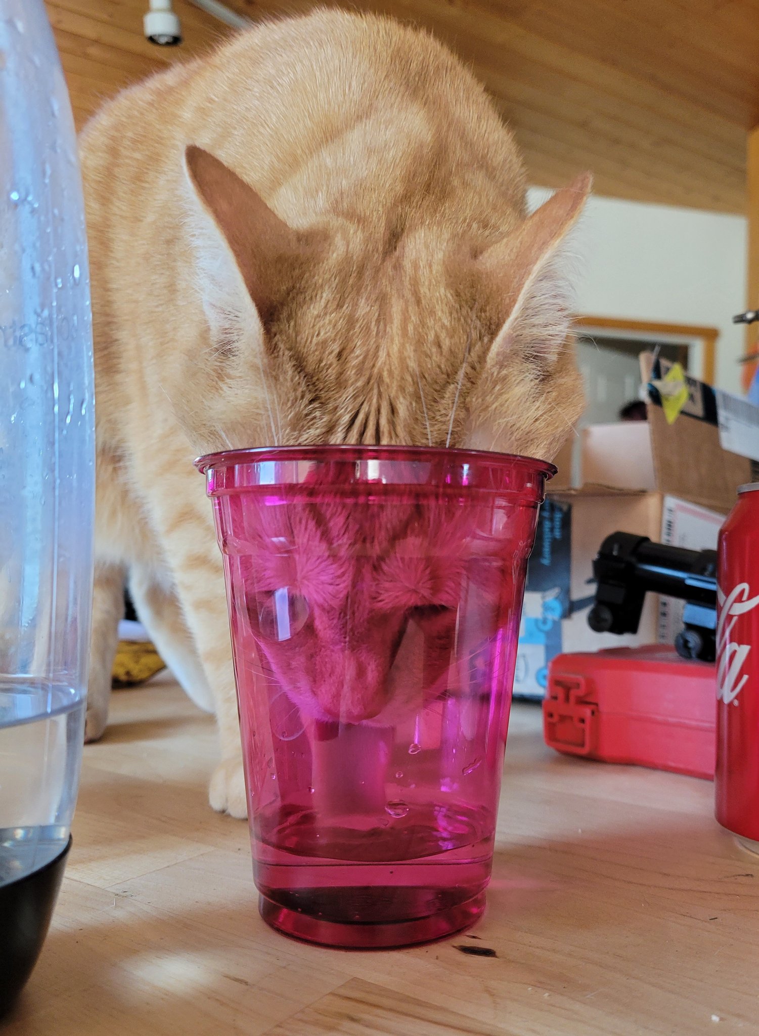 eyebleach.jpg