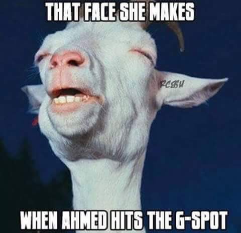 f69bf95c74.jpg