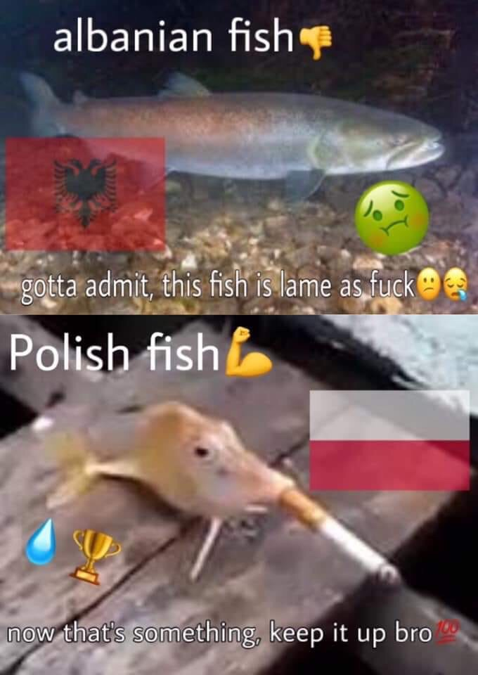 f87.png
