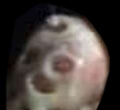 face.jpg