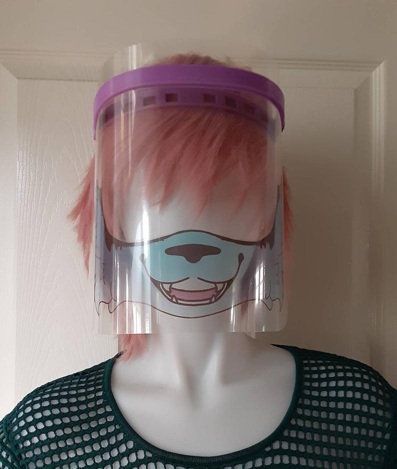 Face shields 2.jpg