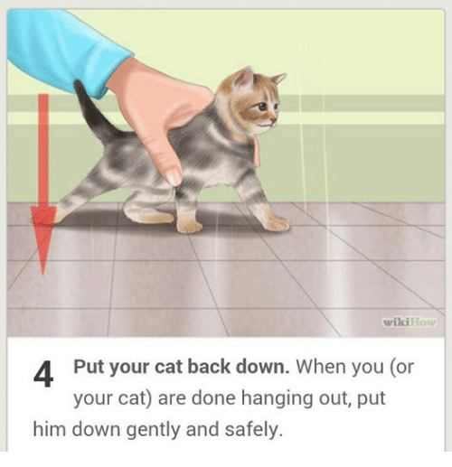 Facebook-233580.png