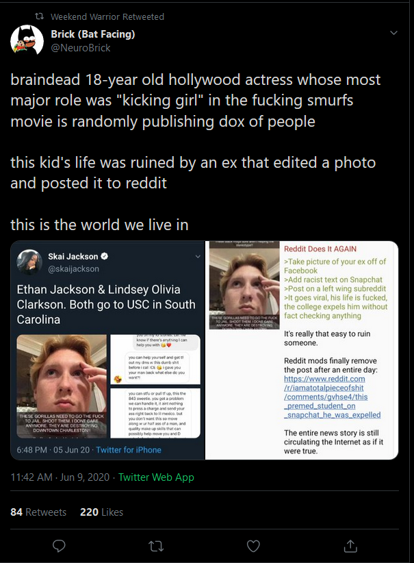 fake racist .png