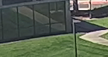 falling.gif