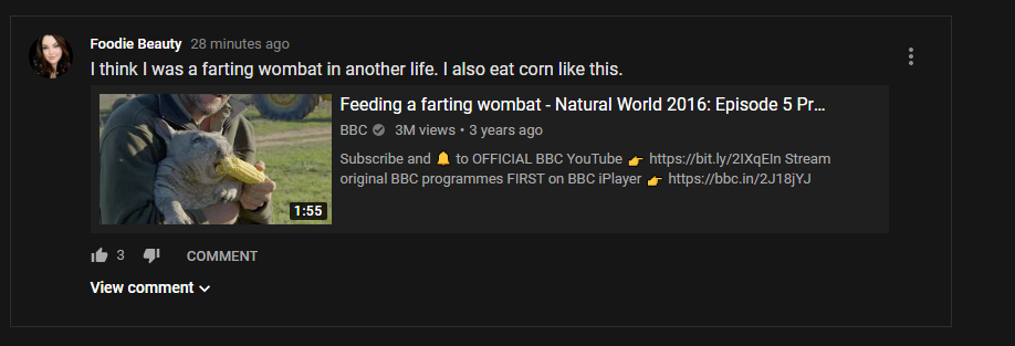fart wombat.PNG