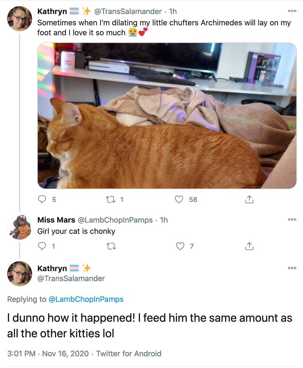 fat.png