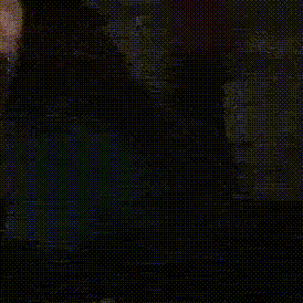fatfuck.gif