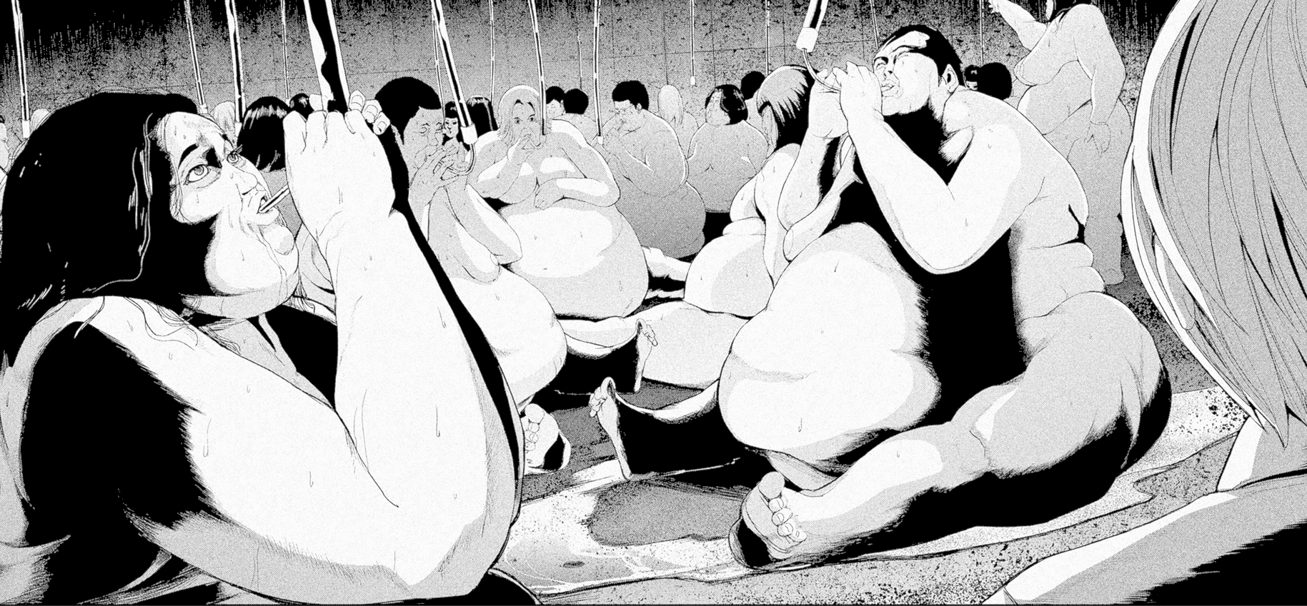 fatties.jpg